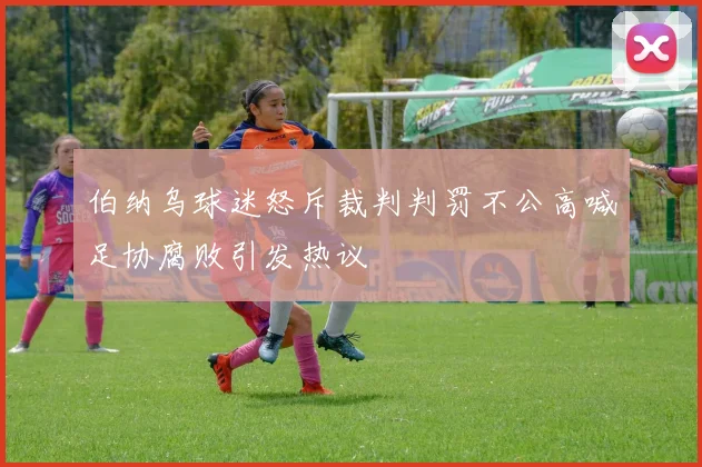 伯纳乌球迷怒斥裁判判罚不公高喊足协腐败引发热议